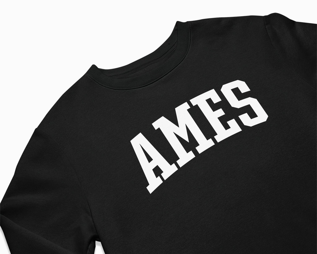 Ames Crewneck Sweatshirt - Black