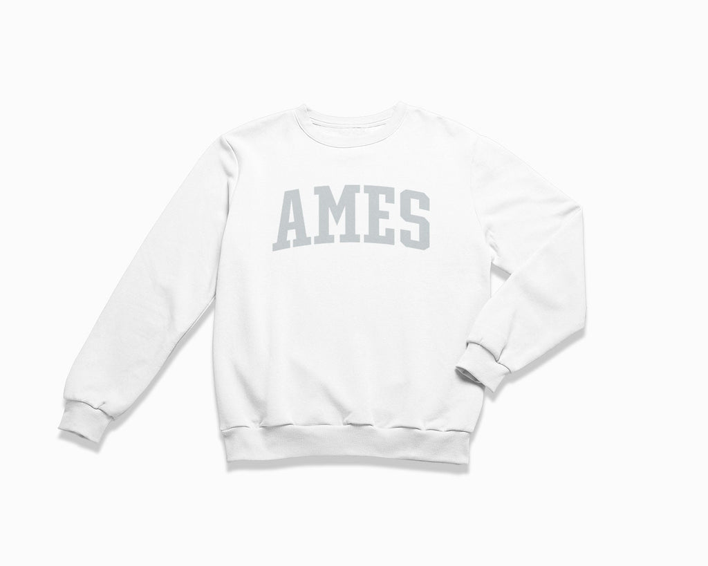Ames Crewneck Sweatshirt - White/Grey
